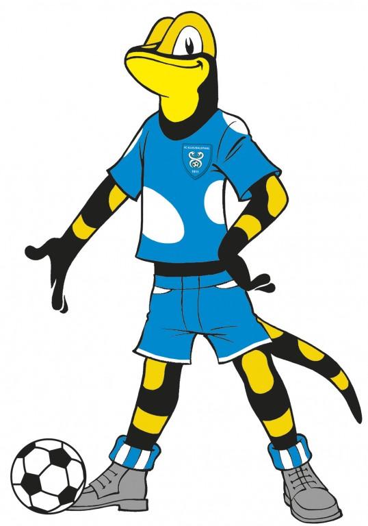 rägemöri